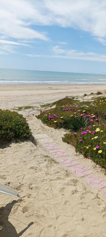 Casa Roberto Beach Torvaianica Eksteriør billede